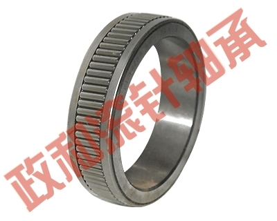 184913 Needle roller bearing